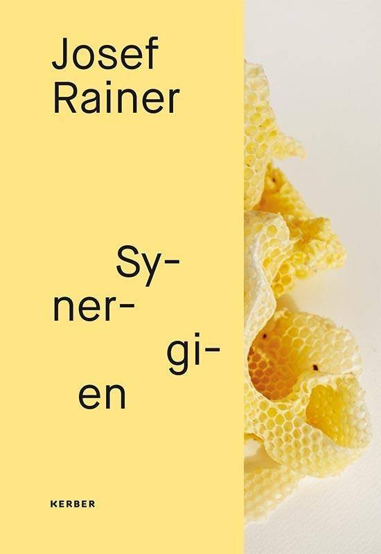 Josef Rainer Synergien