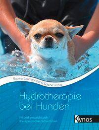 Hydrotherapie bei Hunden Fit und gesund durch therapeutisches Schwimmen