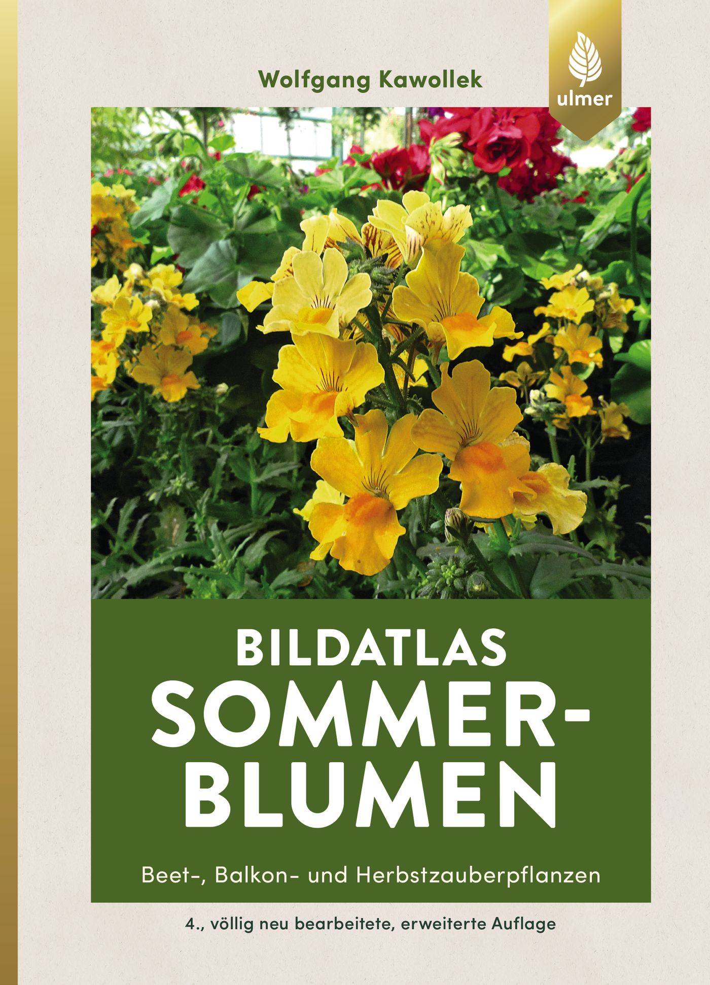 Sommerblumen Beet-, Balkon- und Herbstzauberpflanzen