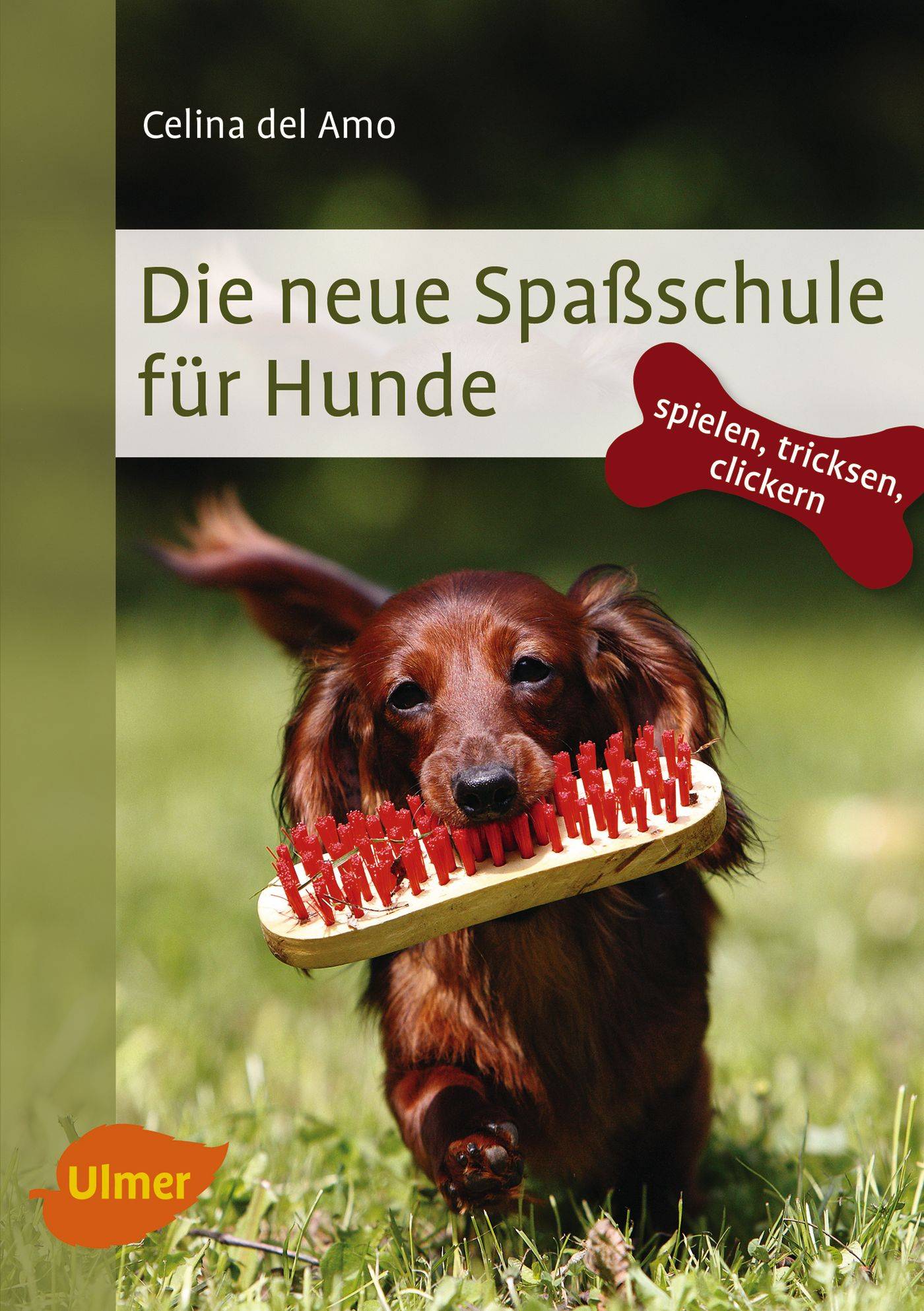 Die neue Spaßschule für Hunde Spielen, tricksen, clickern