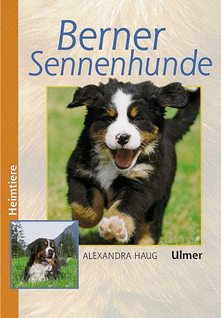 Berner Sennenhunde Heimtiere