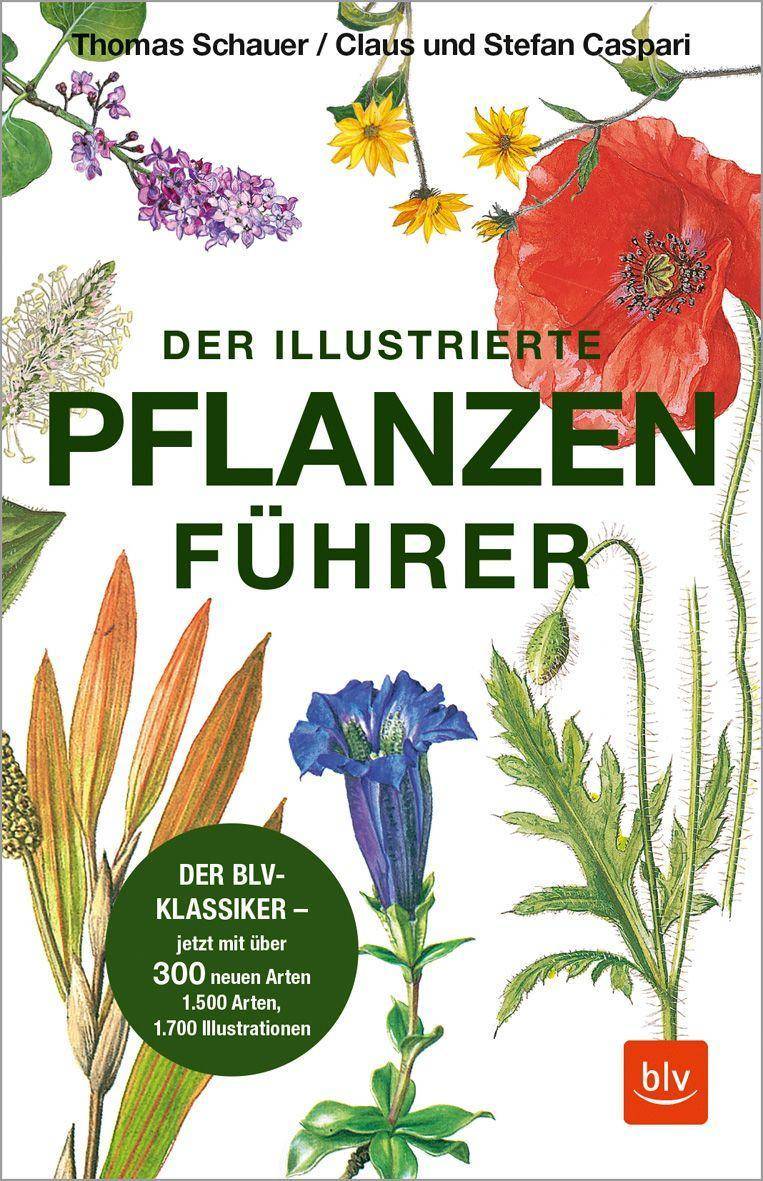 Der illustrierte Pflanzenführer Der BLV-Klassiker - jetzt mit über 300 neuen Arten, 1500 Arten