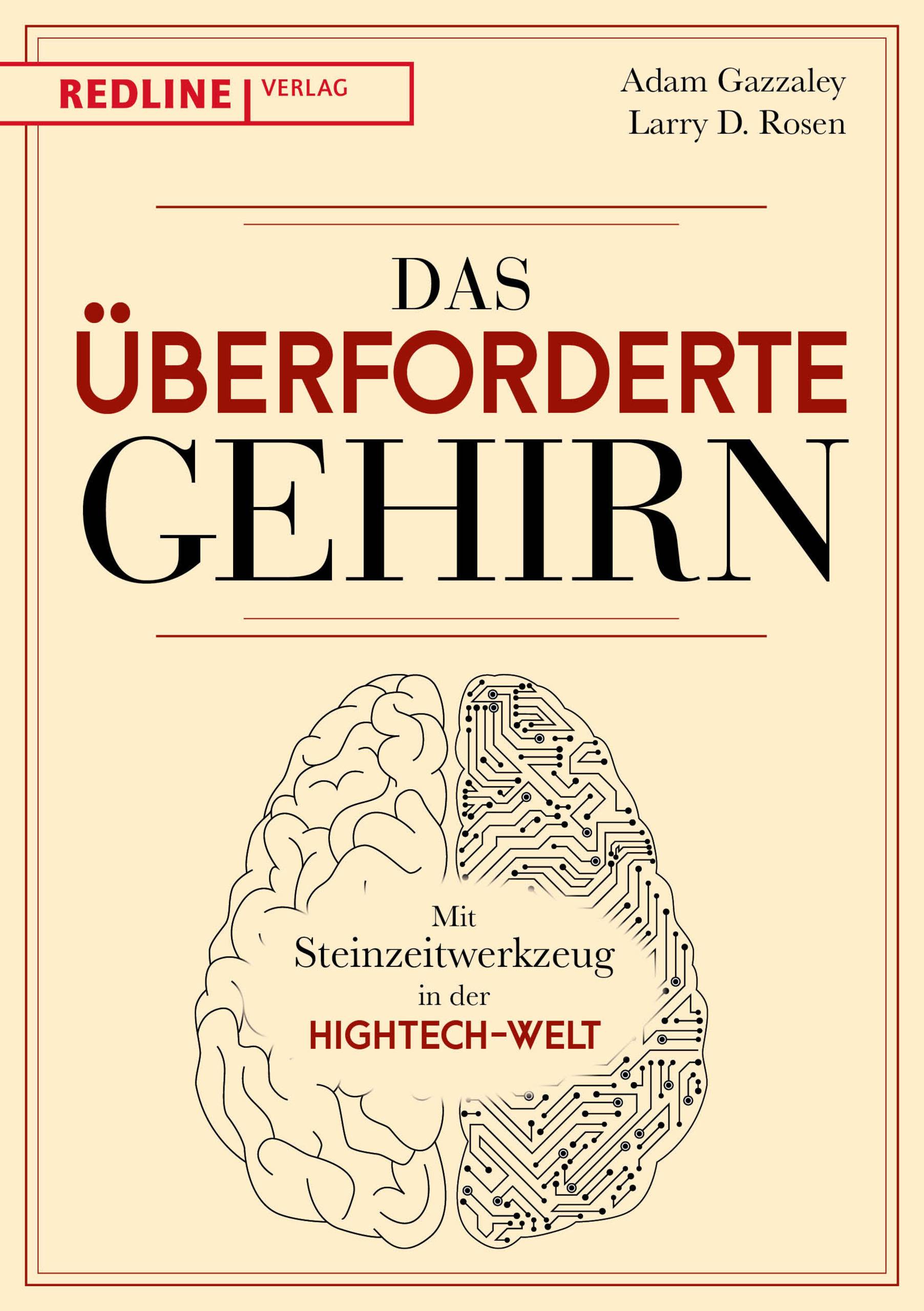 Das überforderte Gehirn Mit Steinzeitwerkzeug in der Hightech-Welt