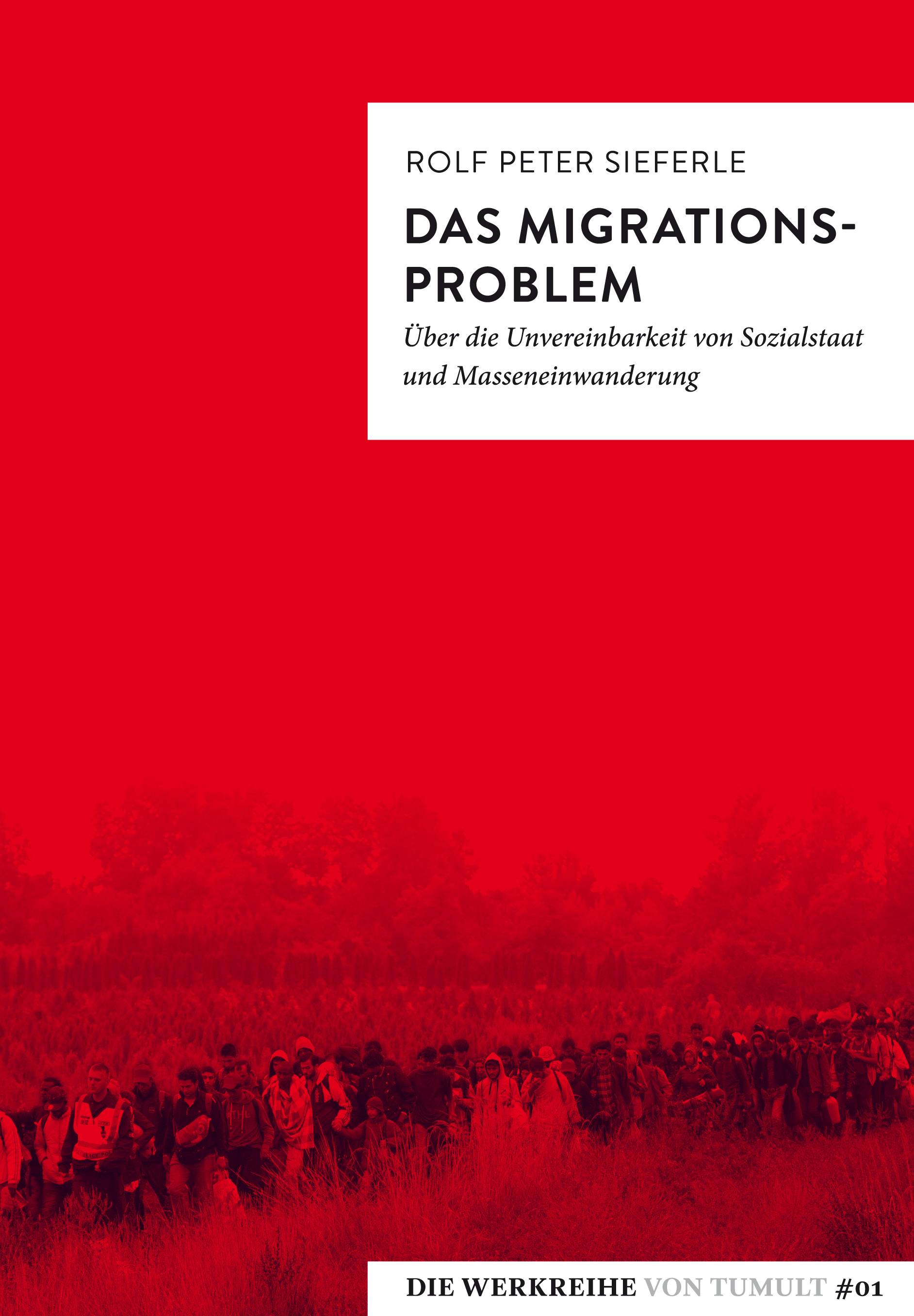 Das Migrationsproblem Über die Unvereinbarkeit von Sozialstaat und Masseneinwanderung