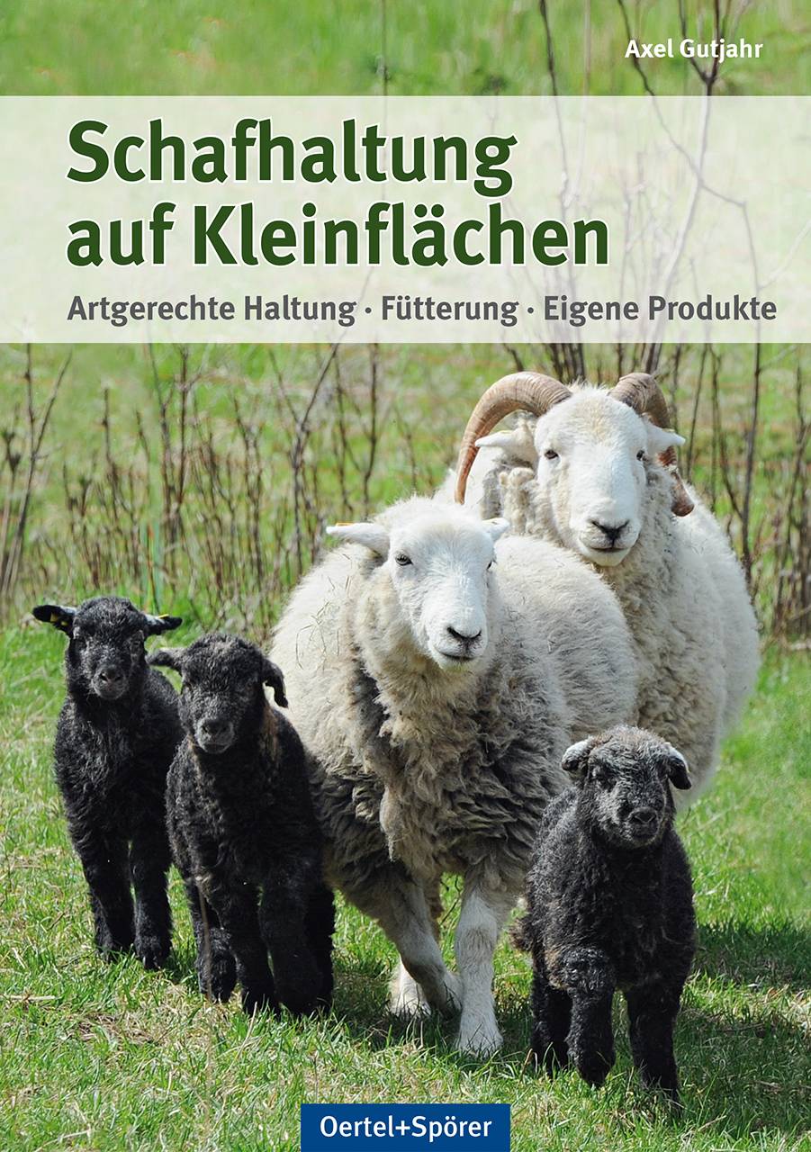Schafhaltung auf Kleinflächen Artgerechte Haltung, Fütterung, eigene Produkte