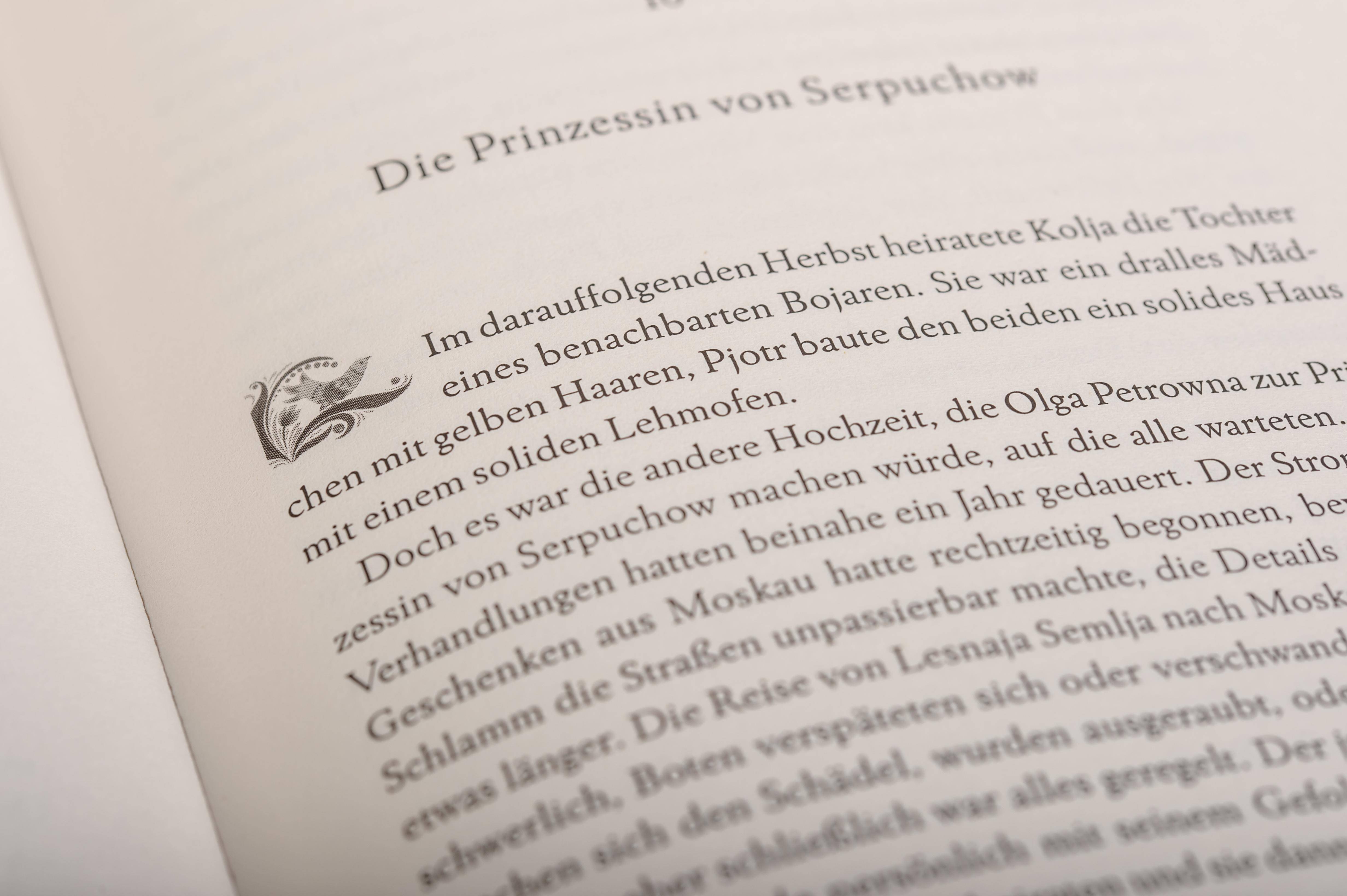 Der Bär und die Nachtigall Roman