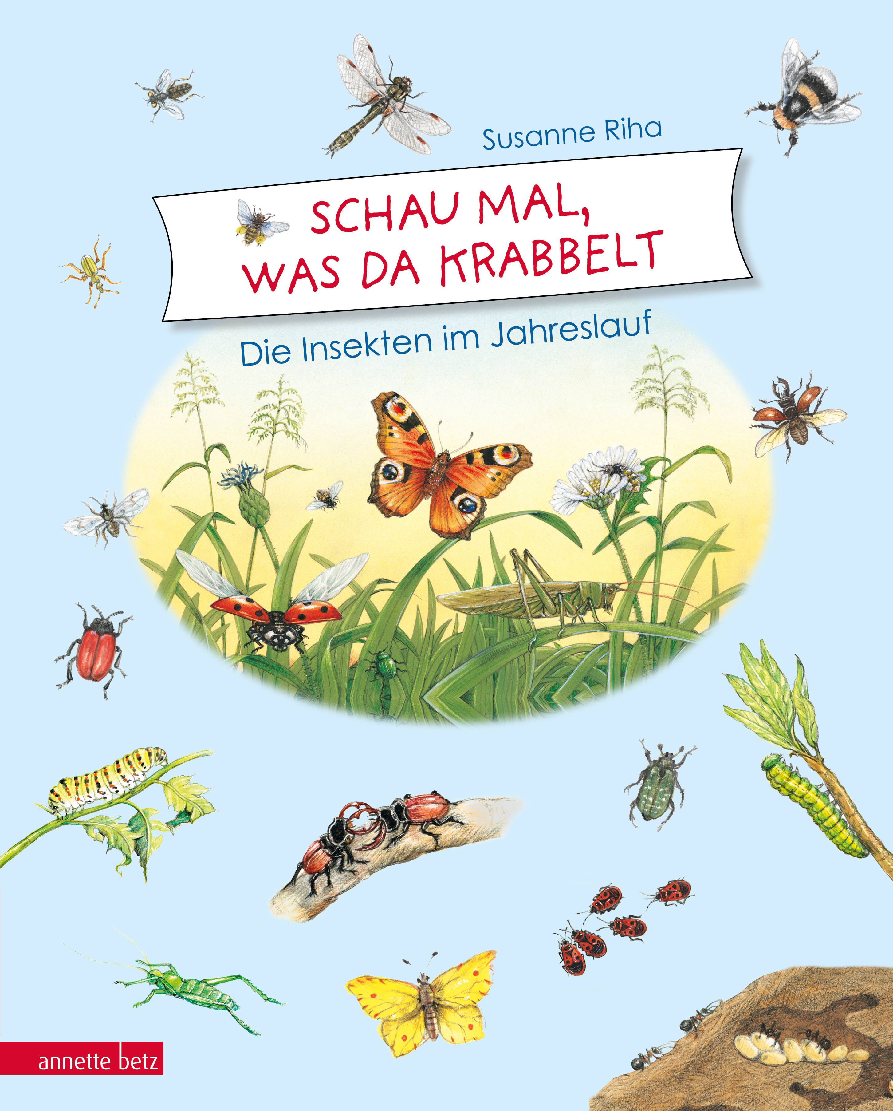Schau mal, was da krabbelt Die Insekten im Jahreslauf