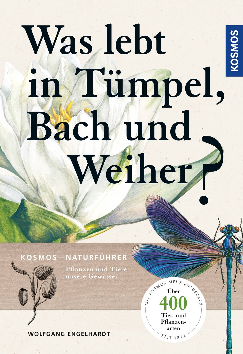 Was lebt in Tümpel, Bach und Weiher? Pflanzen und Tiere unserer Gewässer