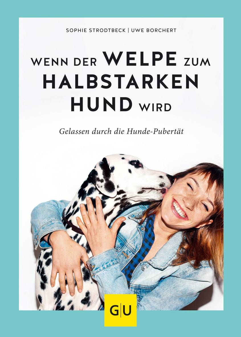 Wenn der Welpe zum halbstarken Hund wird Gelassen durch die Hunde-Pubertät