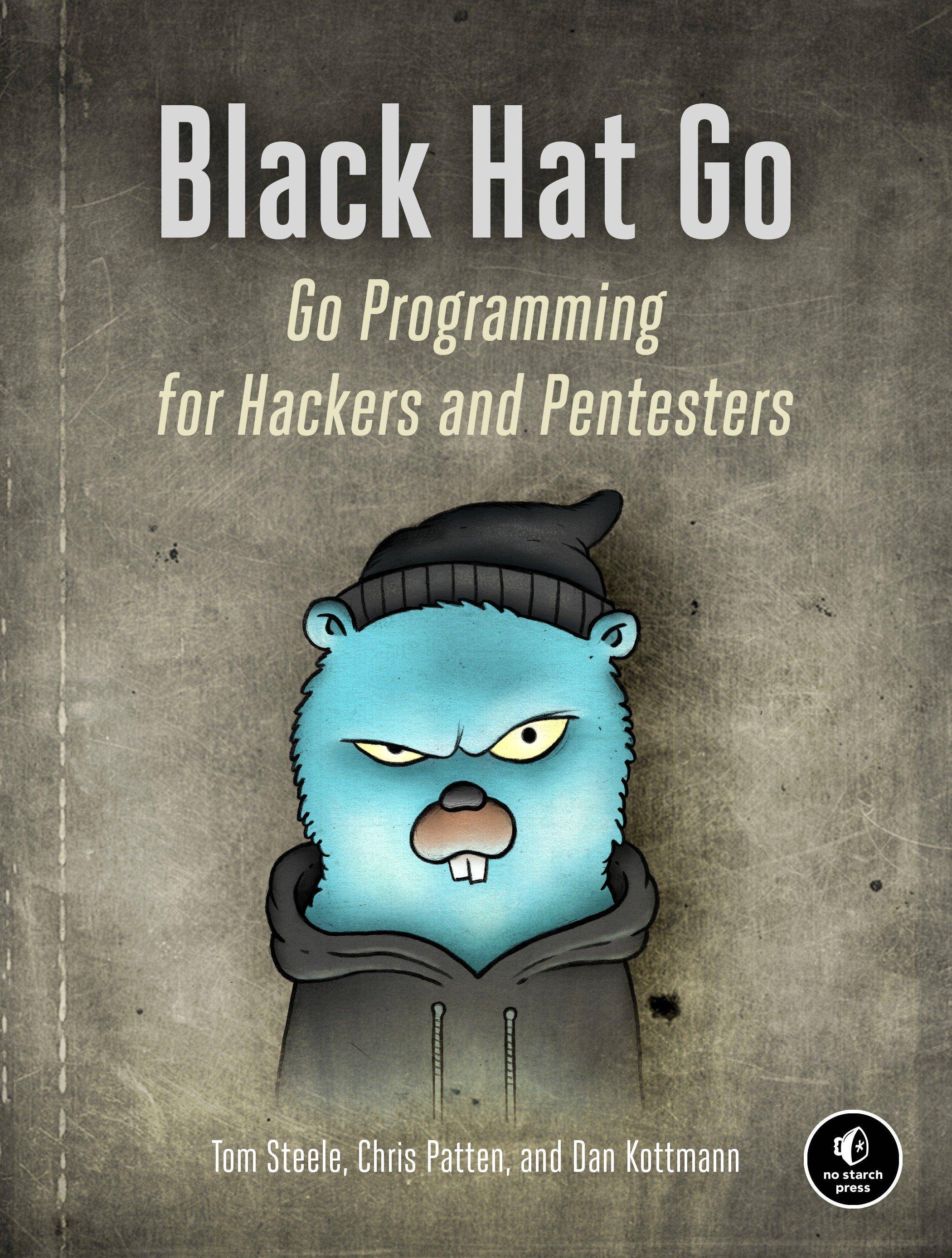 Black Hat Go Go Programming for Hackers and Pentesters