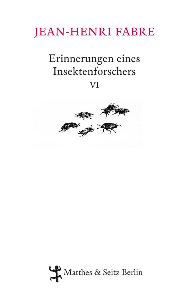 Erinnerungen eines Insektenforschers. Bd.6 Souvenirs entomologiques 06