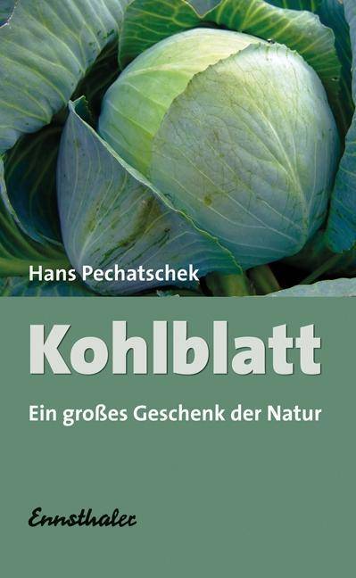 Kohlblatt Ein großes Geschenk der Natur