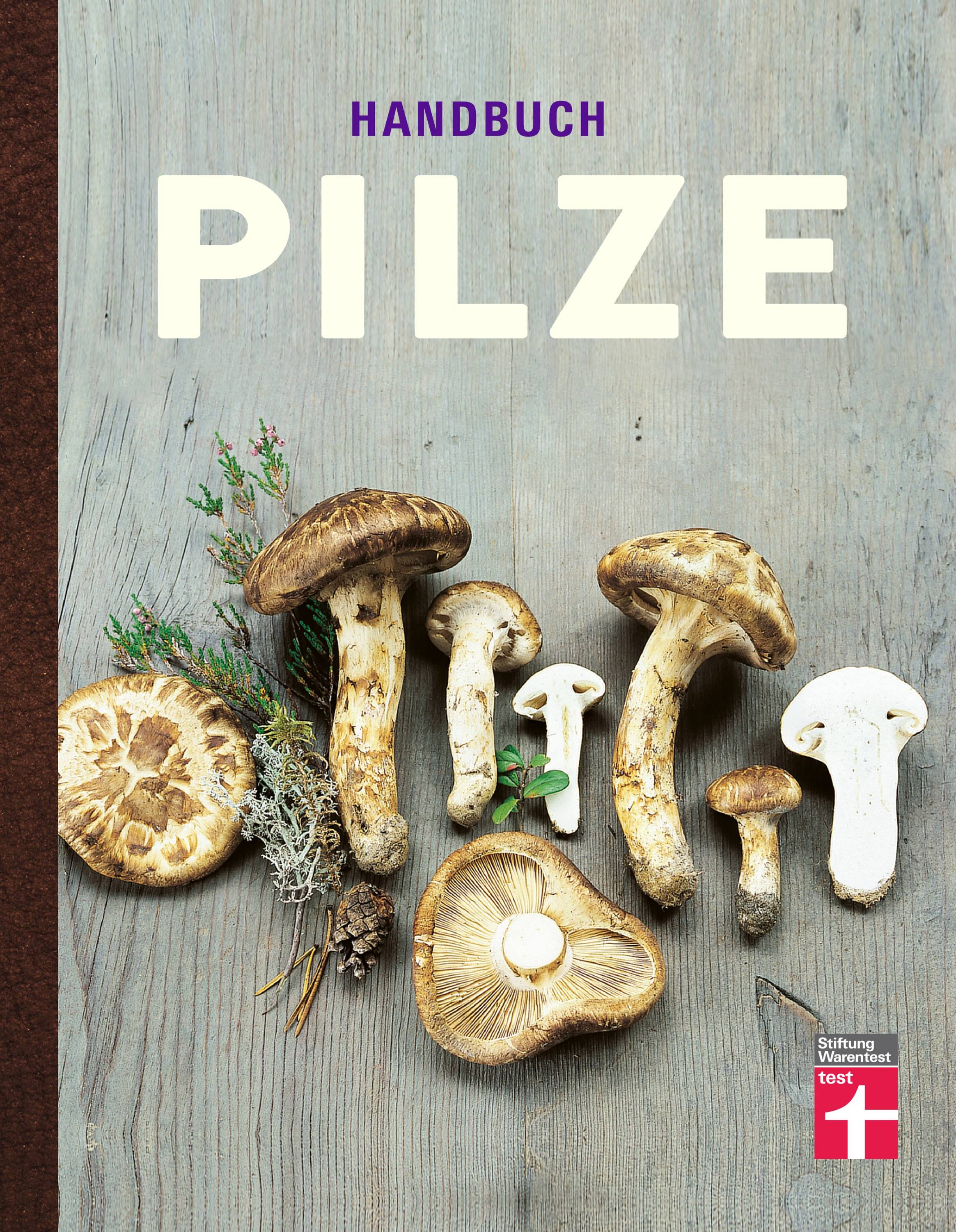 Handbuch Pilze Was Pilzsammler wissen müssen