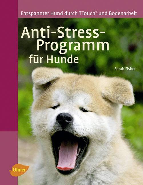 Anti-Stress-Programm für Hunde Entspannter Hund durch T-Touch und Bodenarbeit
