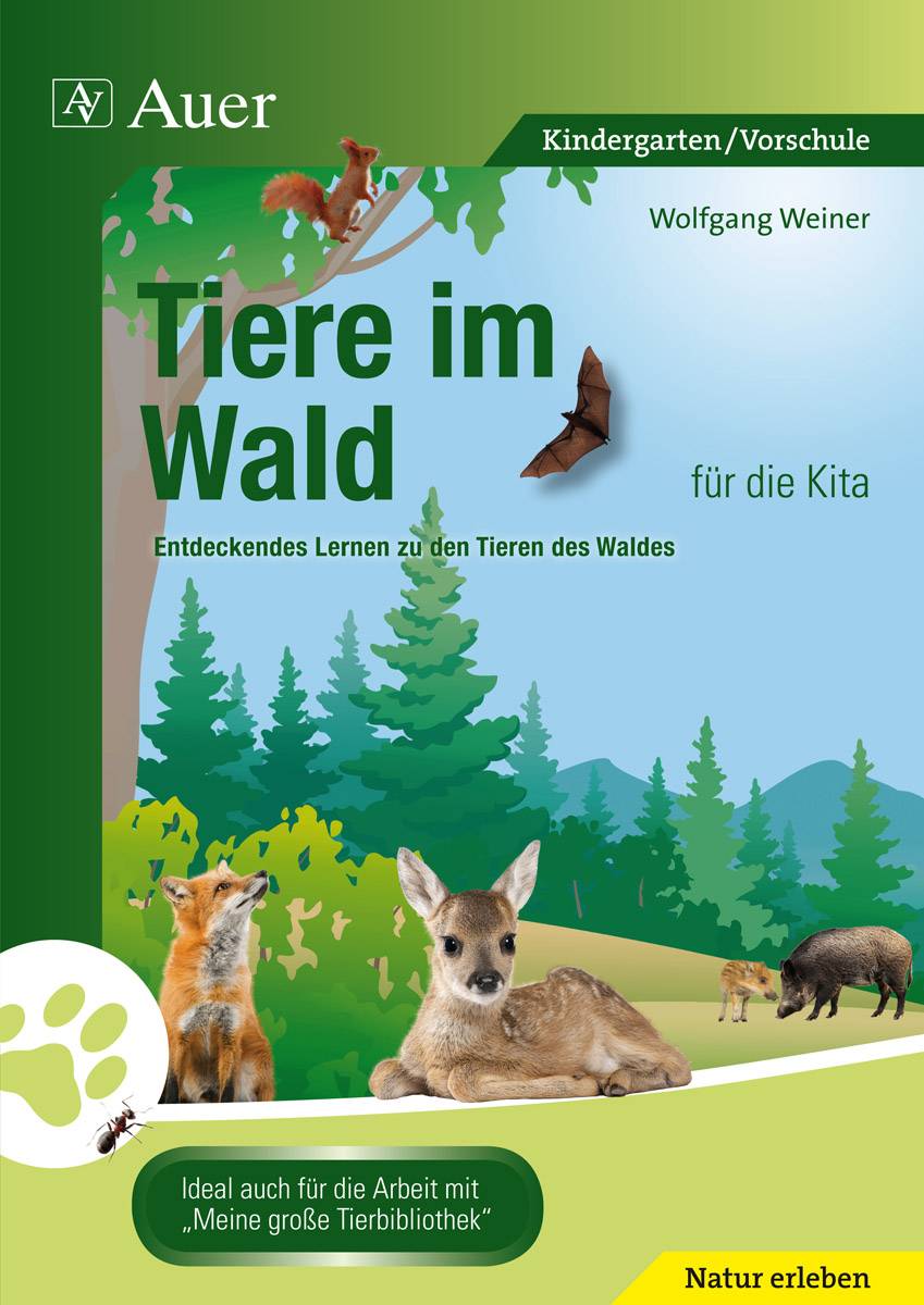 Tiere im Wald für die Kita Entdeckendes Lernen zu den Tieren des Waldes (Kindergarten)