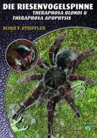 Riesenvogelspinnen Theraphosa blondi & T apophysis