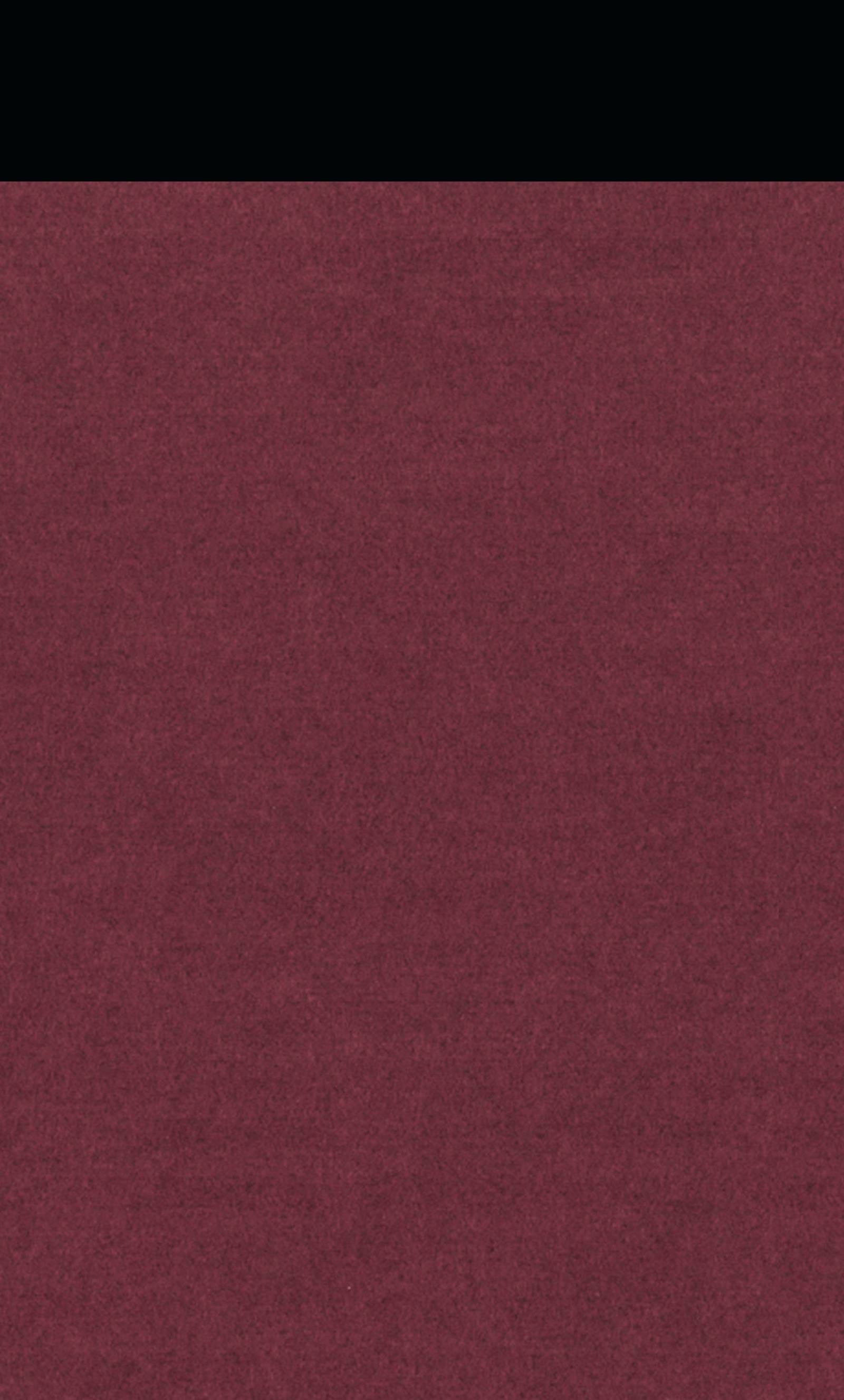 Vorlesungen über Don Quijote Gesammelte Werke Bd. 19