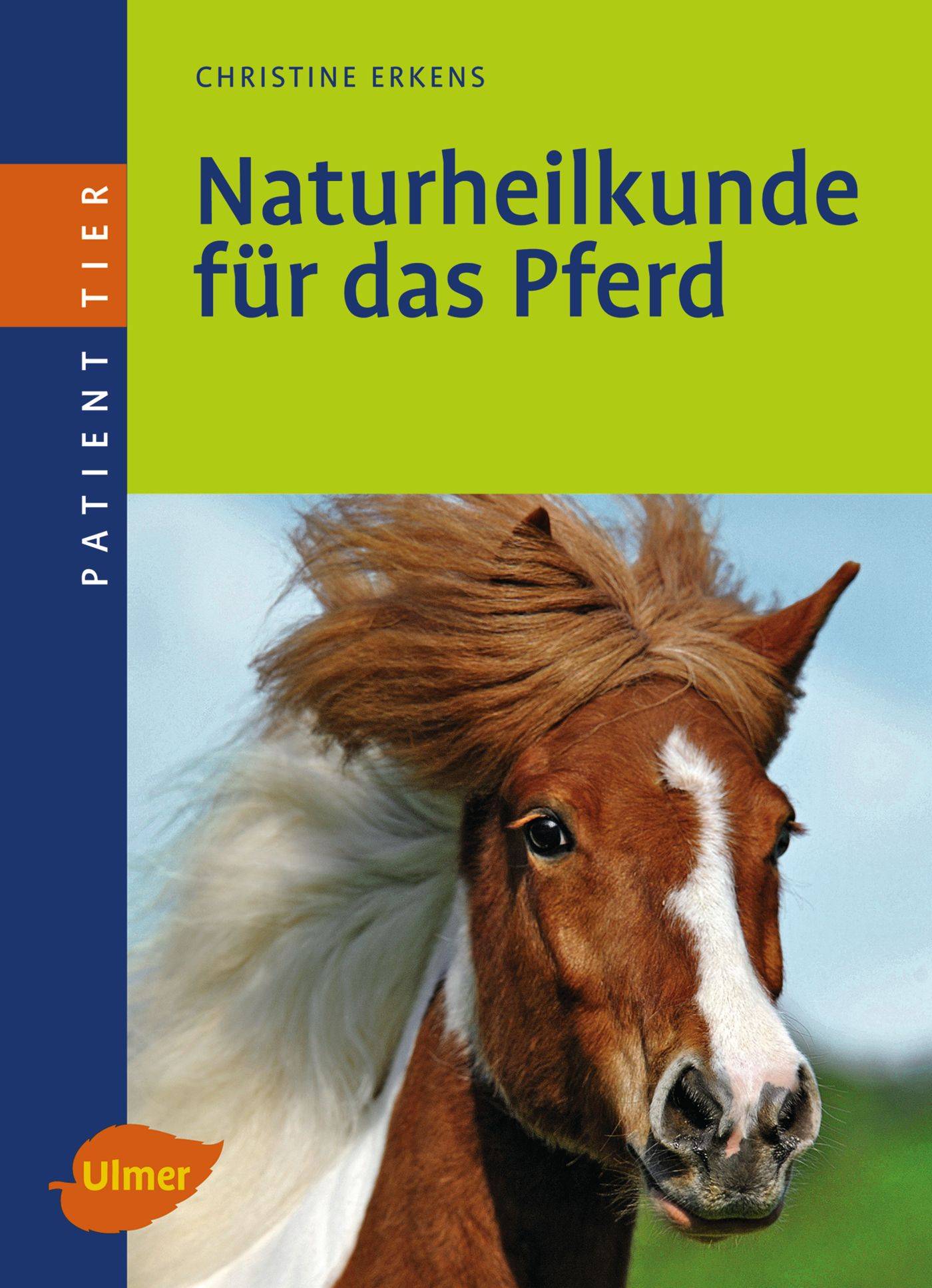 Naturheilkunde für das Pferd Patient Tier