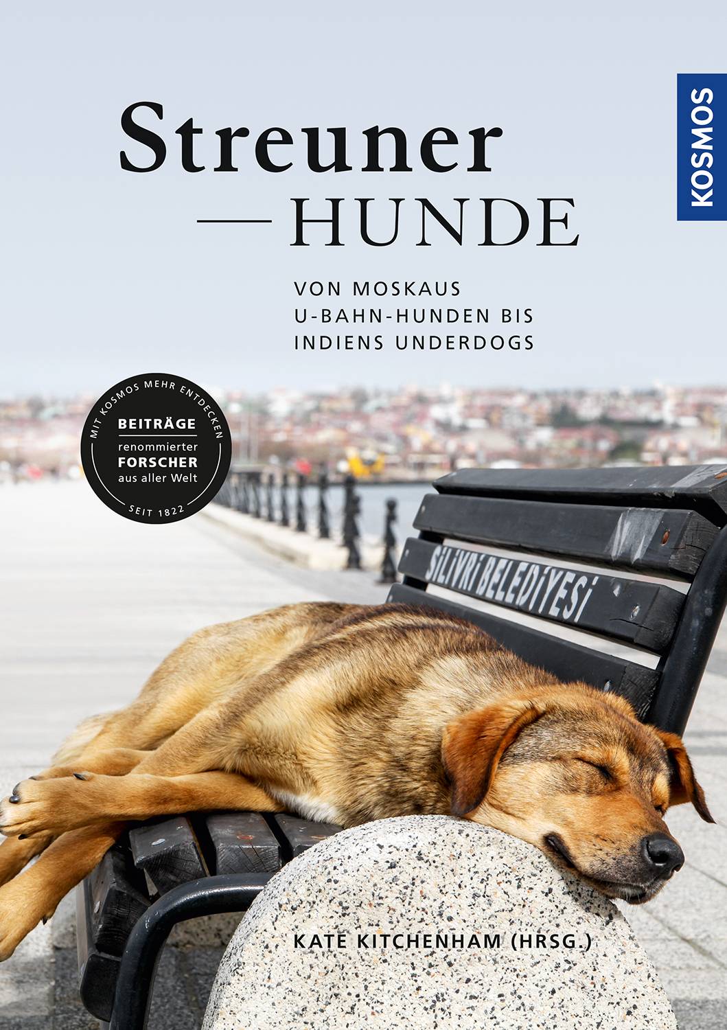 Streunerhunde Von Moskaus U-Bahn-Hunden bis Indiens Underdogs