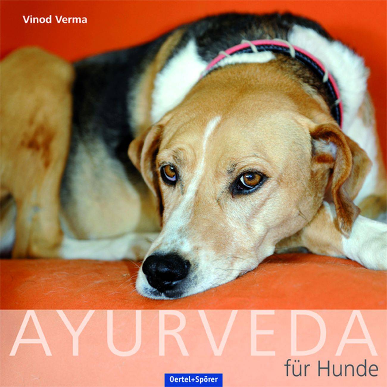 Ayurveda für den Hund Behandlung und Ernährung nach der Ayurveda-Methode