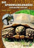 Die Spornschildkröte Geochelone sulcata