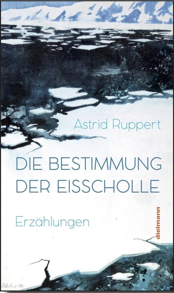 Die Bestimmung der Eisscholle Acht Erzählungen vom Nordpol