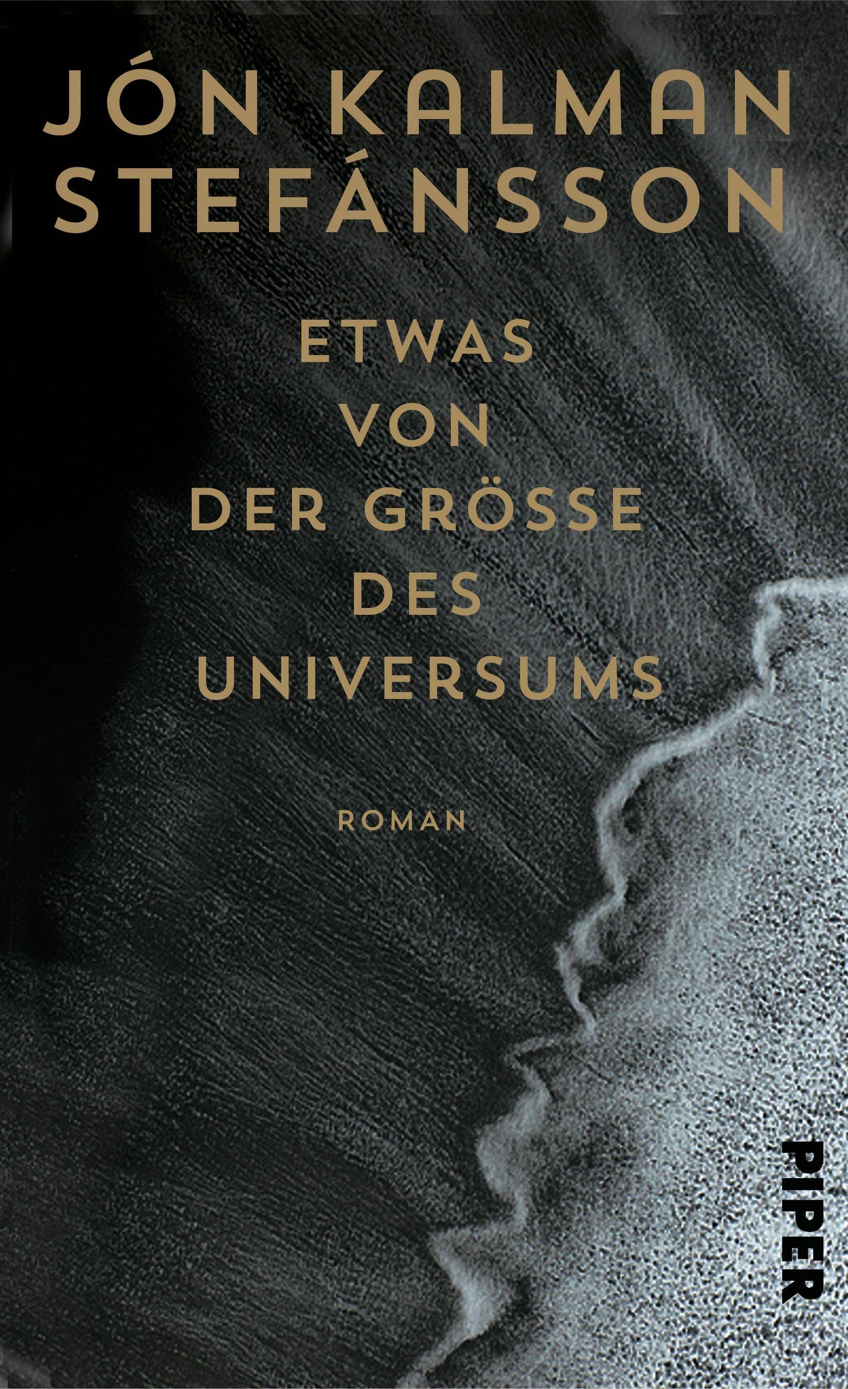 Etwas von der Größe des Universums Roman