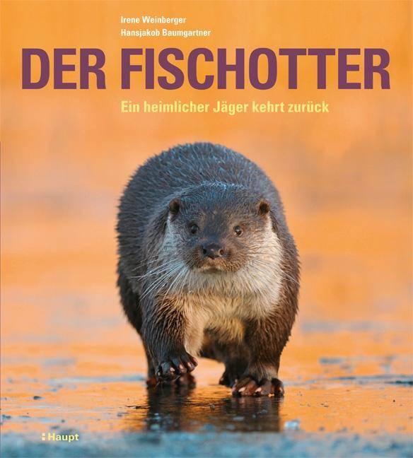 Der Fischotter Ein heimlicher Jäger kehrt zurück