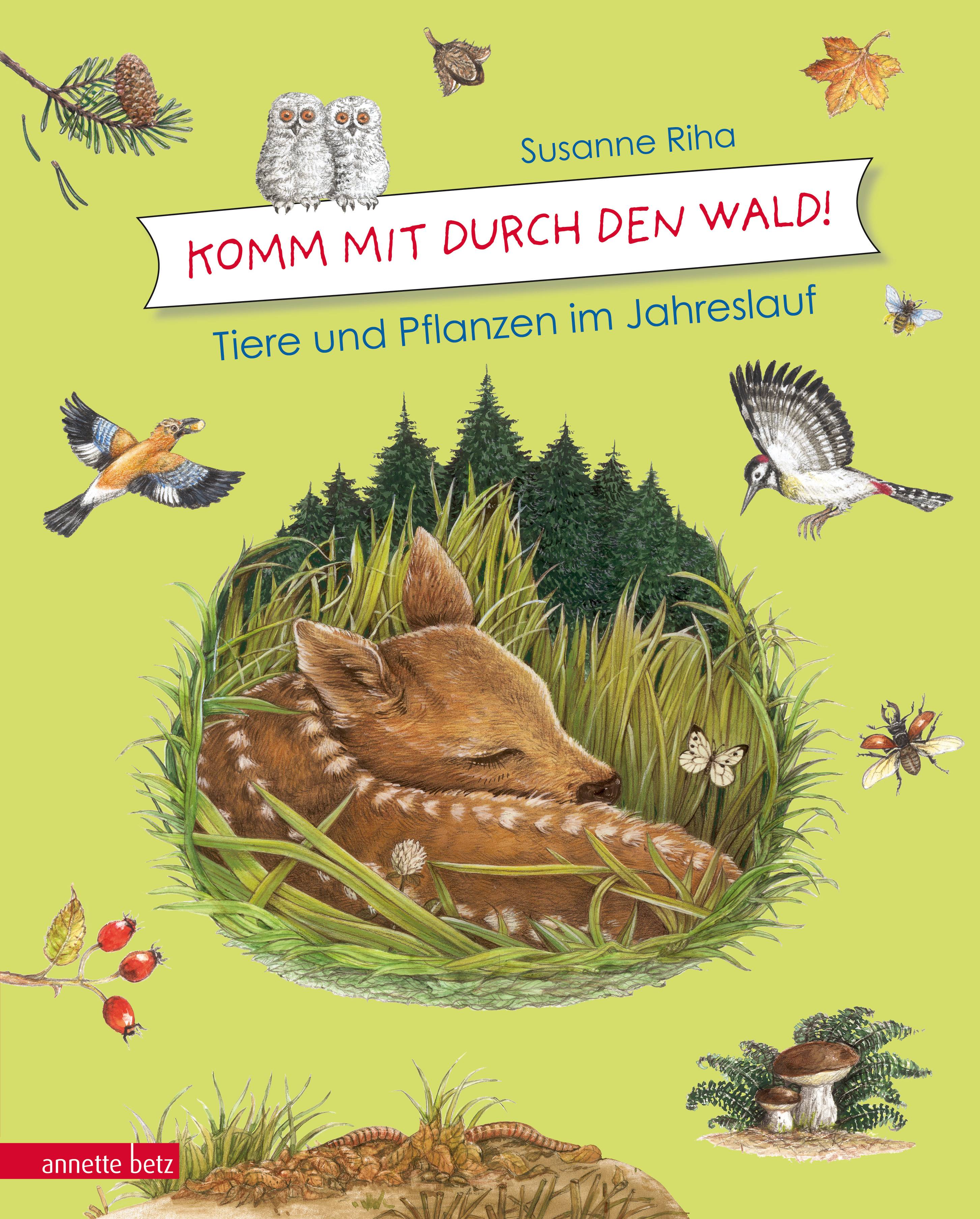 Komm mit durch den Wald Tiere und Pflanzen im Jahreslauf