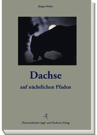 Dachse Auf nächtlichen Pfaden