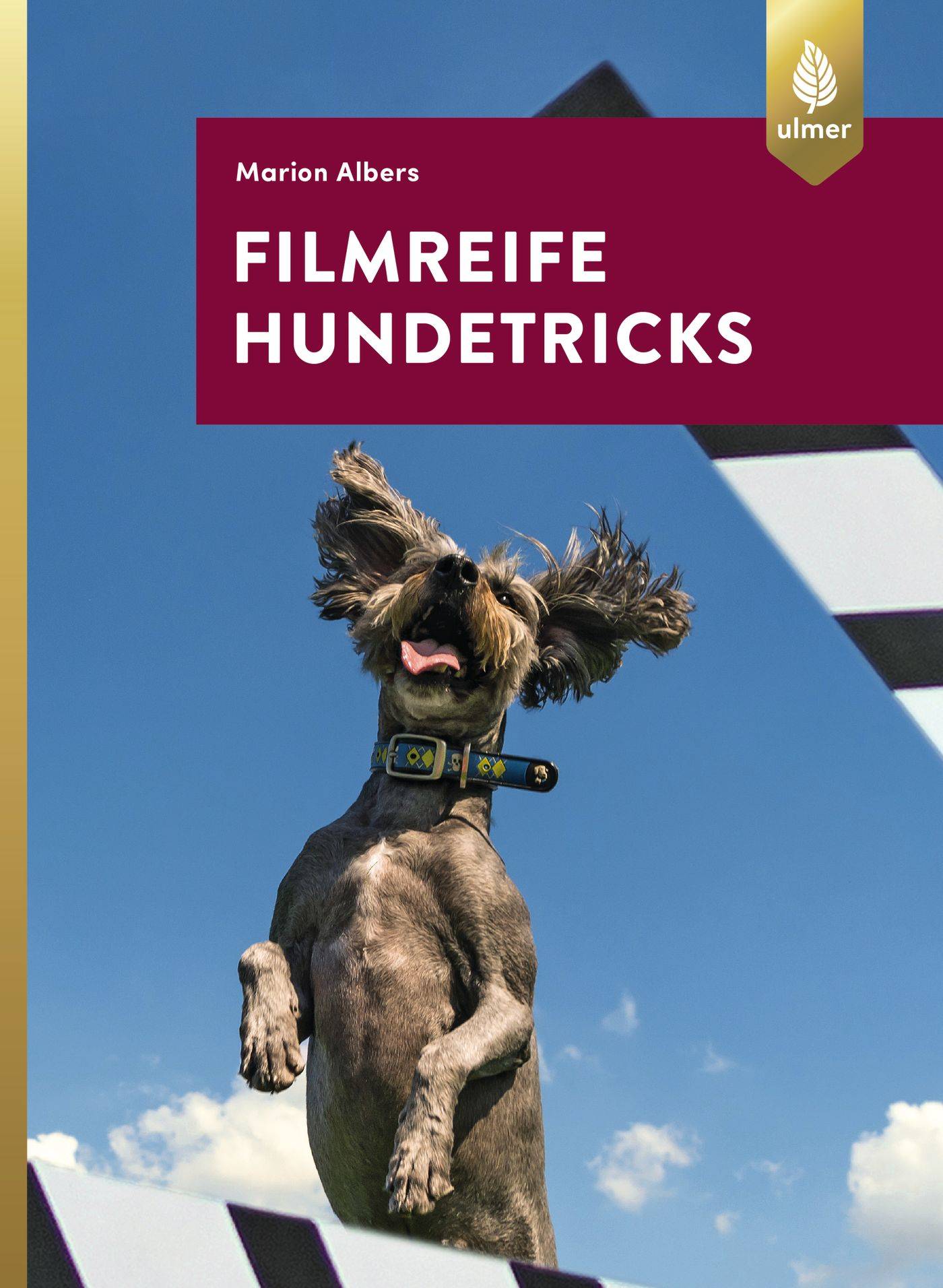 Filmreife Hundetricks Tricktraining  nicht nur für angehende Filmhunde