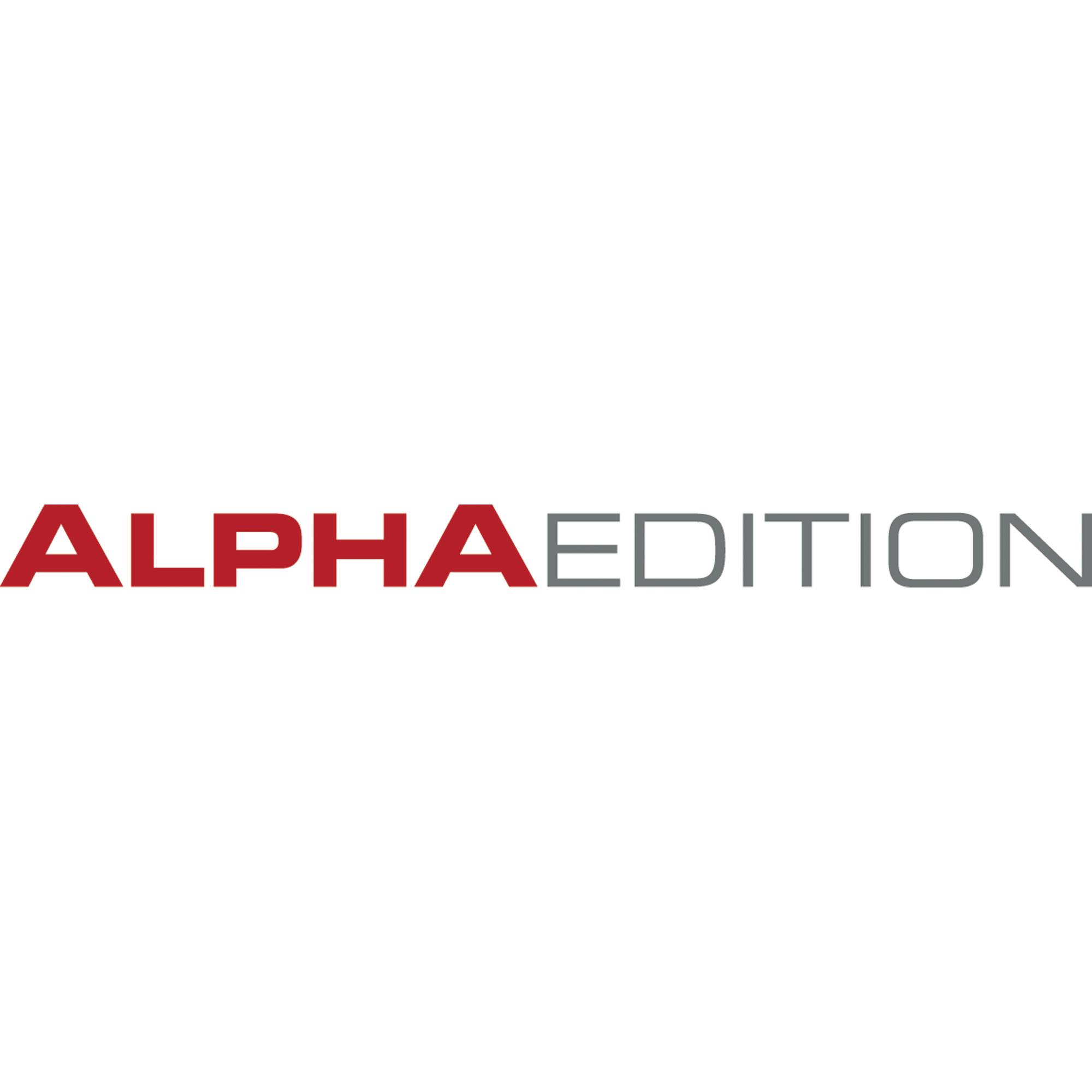ALPHA EDITION Notizkalender XL 102499 1M/1S rot