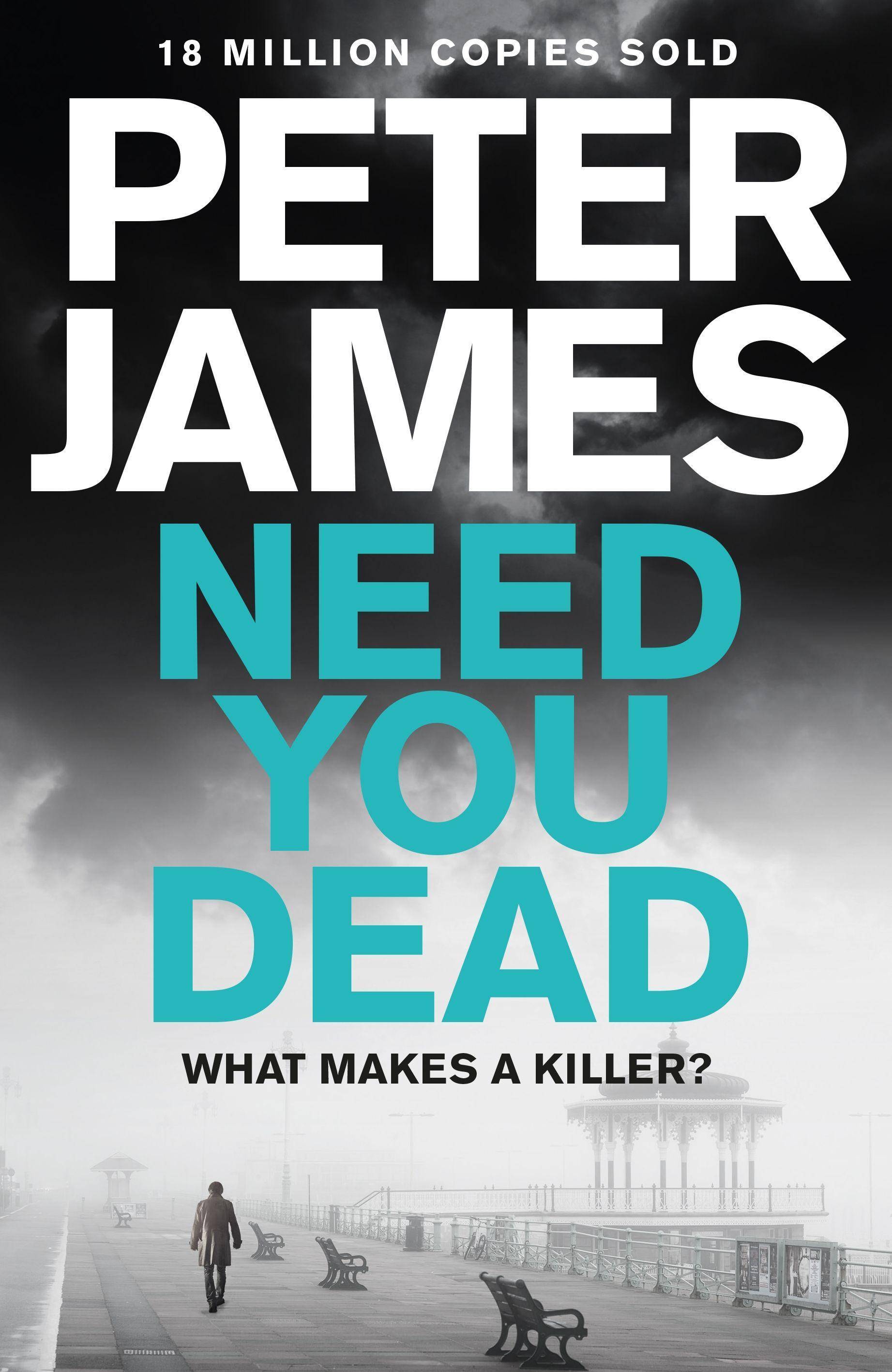 Need You Dead Roy Grace 13