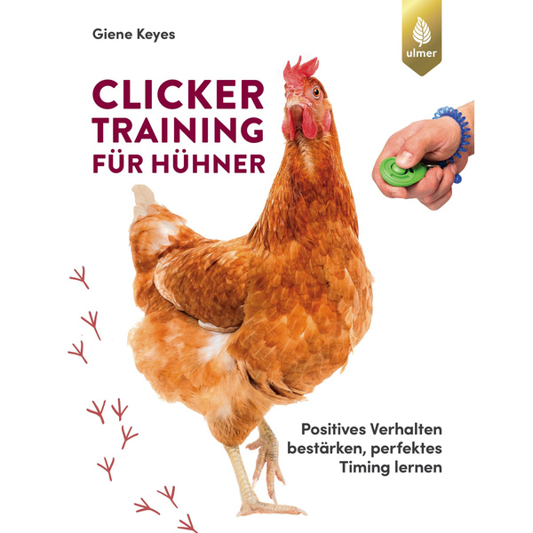 Clickertraining für Hühner Positives Verhalten bestärken perfektes Timing lernen