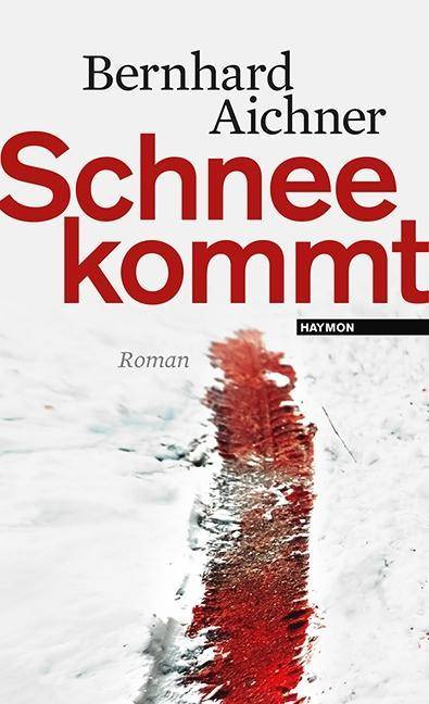Schnee kommt Roman