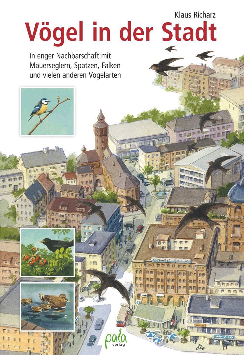 Vögel in der Stadt In enger Nachbarschaft mit Mauerseglern, Spatzen, Falken und vielen anderen Vogelarten
