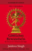 Göttliches Bewusstsein - Vijnanabhairava Ein Schatz von 112 Formen des Yoga