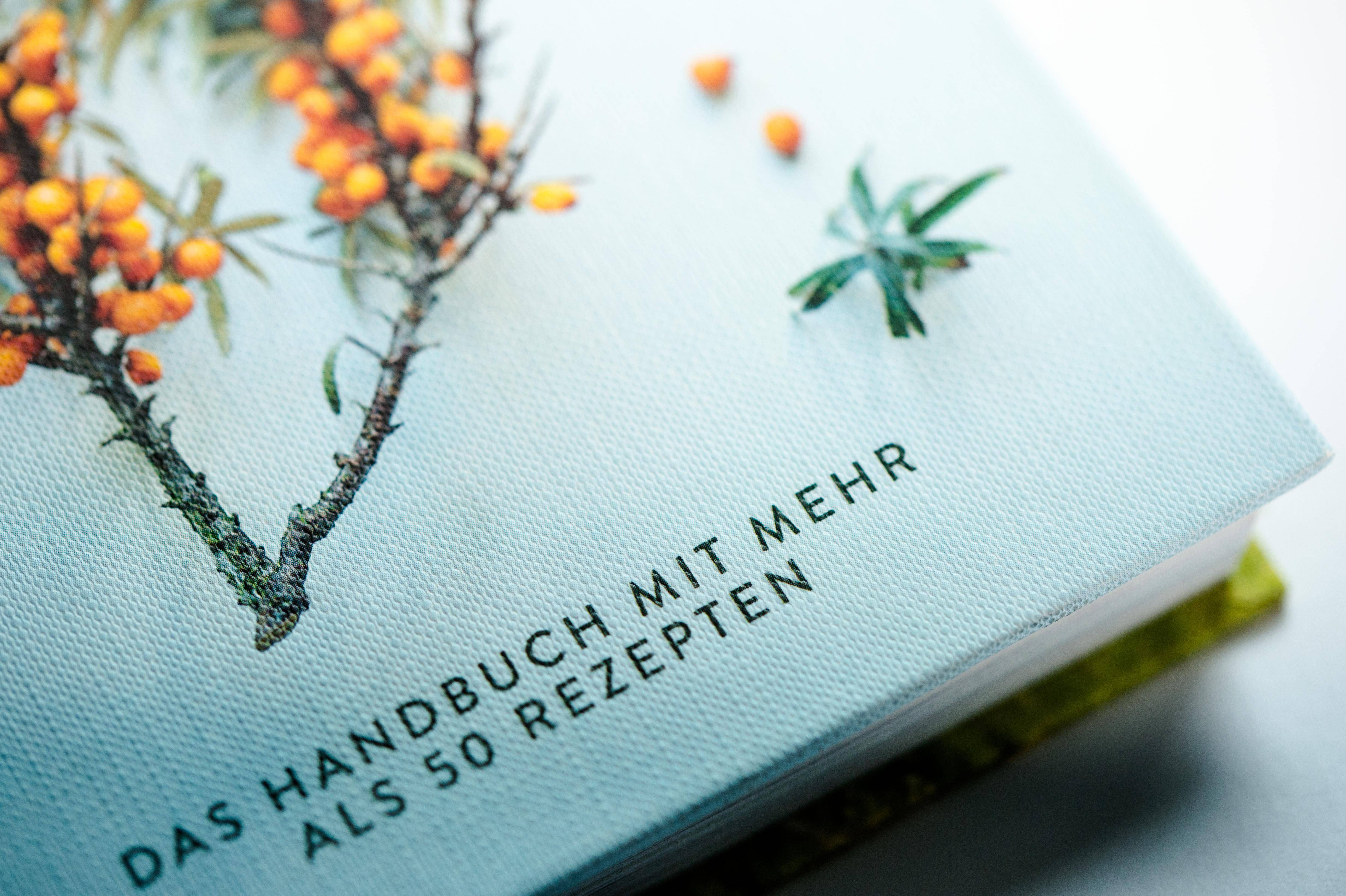Wildpflanzen essen Das Handbuch mit mehr als 50 Rezepten