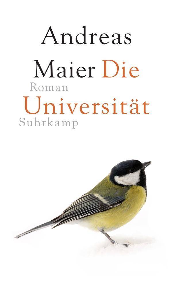 Die Universität Roman