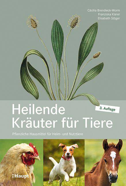 Heilende Kräuter für Tiere Pflanzliche Hausmittel für Heim- und Nutztiere