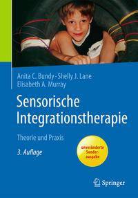 Sensorische Integrationstherapie Theorie und Praxis