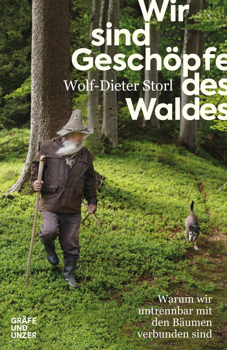 Wir sind Geschöpfe des Waldes Warum wir untrennbar mit den Bäumen verbunden sind
