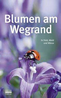 Blumen am Wegrand In Feld, Wald und Wiese