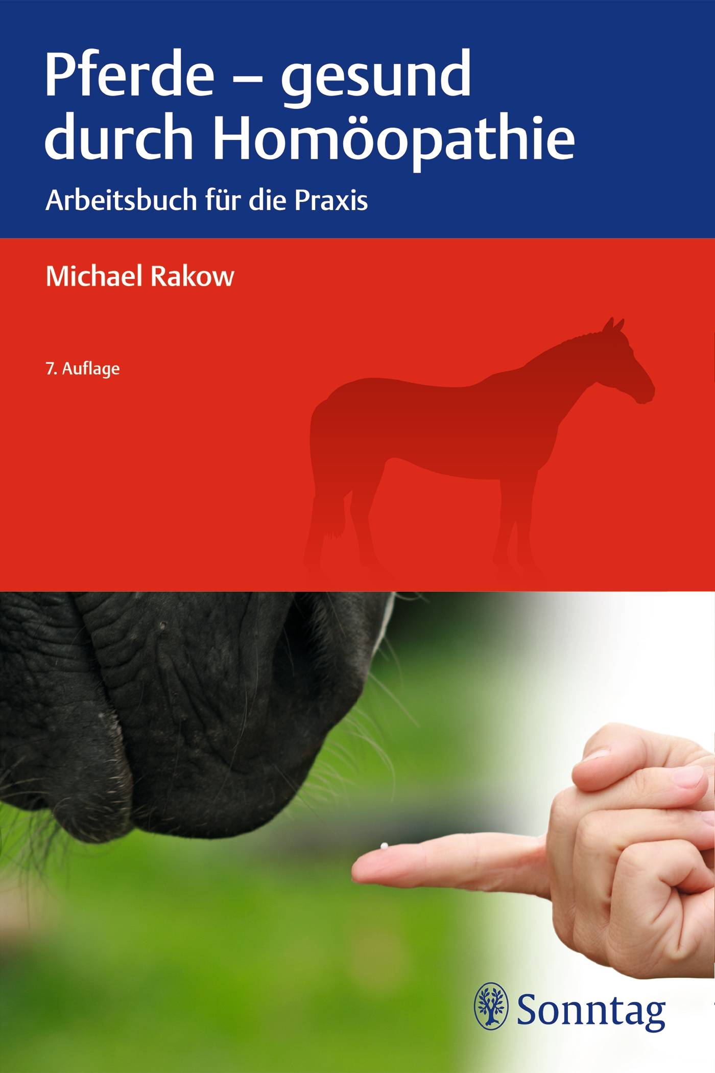 Pferde - gesund durch Homöopathie Arbeitsbuch für die Praxis
