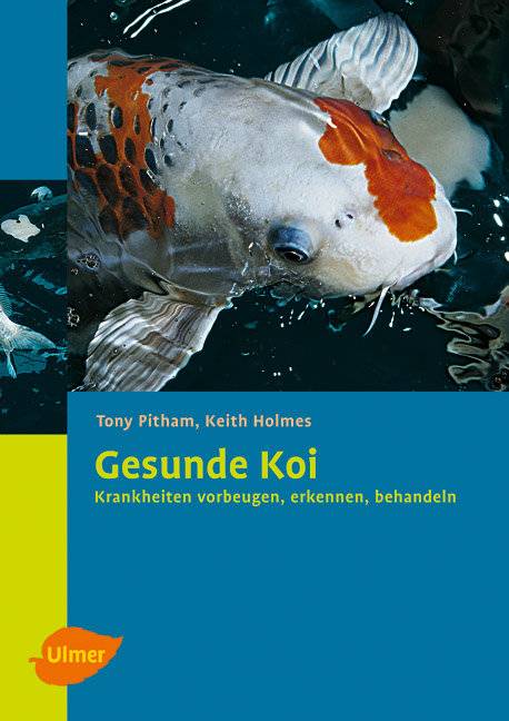 Gesunde Koi Krankheiten vorbeugen, erkennen, behandeln