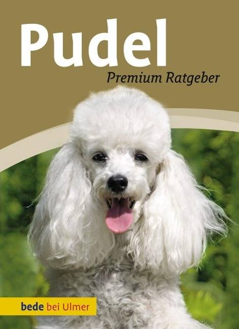 Pudel Toy-, Zwerg-, Klein-, Großpudel