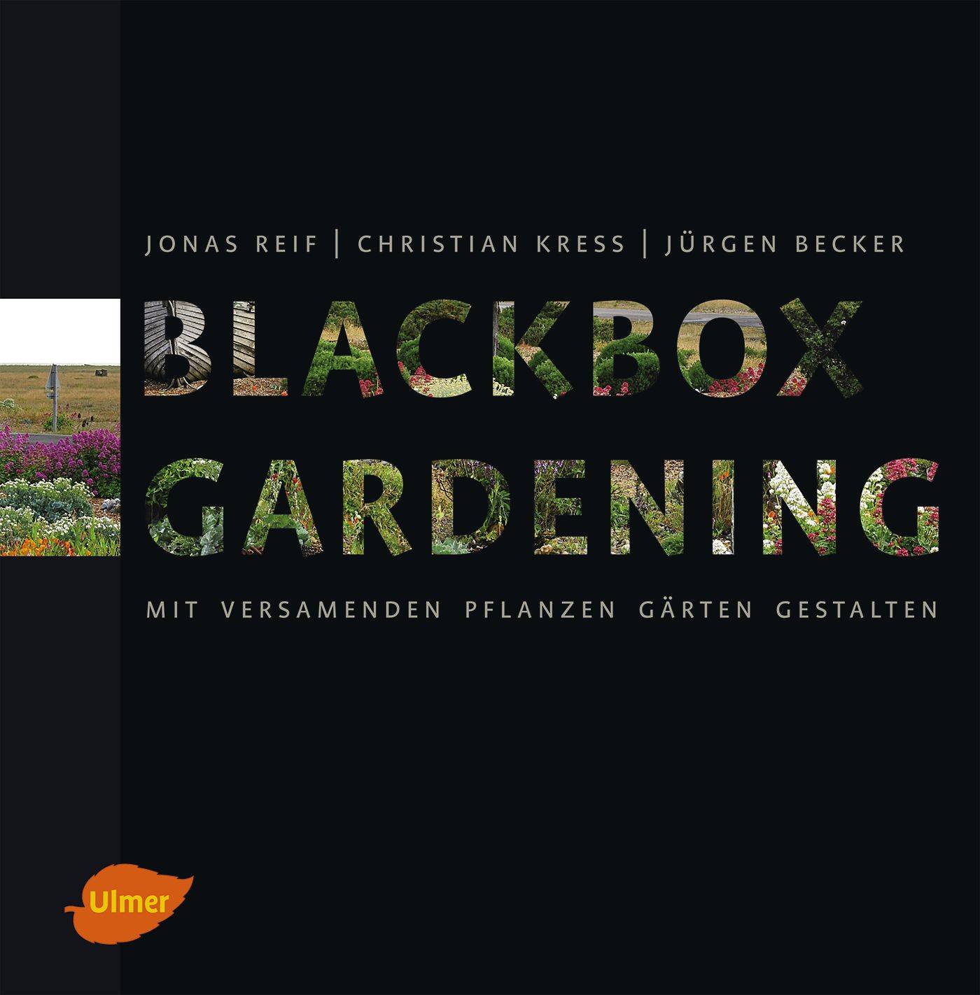 Blackbox-Gardening Mit versamenden Pflanzen Gärten gestalten
