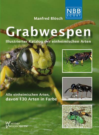 Grabwespen Illustrierter Katalog der einheimischen Arten