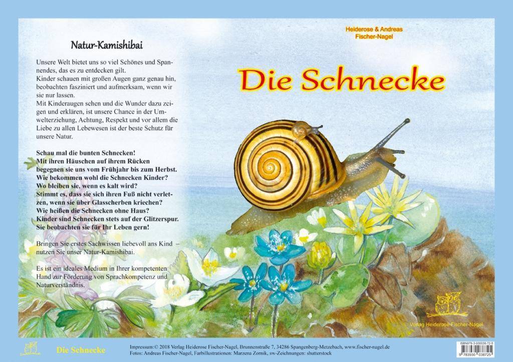 Die Schnecke, Natur-Kamishibai Natur-Kamishibai