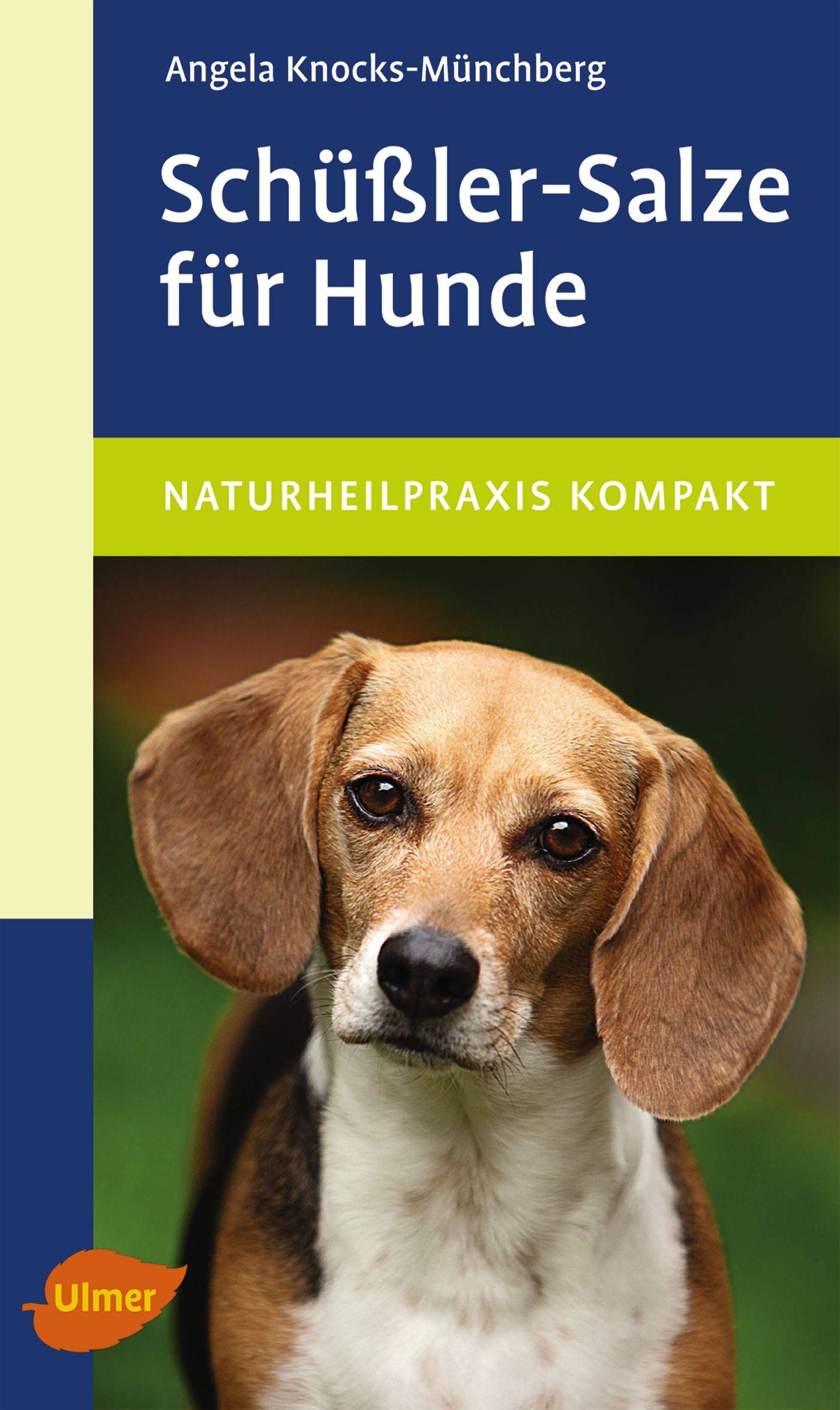Schüßler-Salze für Hunde Naturheilpraxis Kompakt